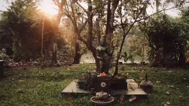 A mente está habituada ao esforço,
a caminhos difíceis, soluções pesadas.
Ela resiste ao simples. Resiste ao agora.
Agarra-se ao controlo como se dele dependesse a vida.
Mas na verdade,
na entrega da prática
no Yoga
há uma nova perspectiva, perceção.

A expiração ensina – solta.
Que medos, zangas, dúvidas —
são apenas formas de resistência.
Ao largá-las, a leveza chega.
A paz não se conquista,
emerge quando deixamos de lutar, de agarrar.
Paciente e honestamente.
No render, no reconhecer da vulnerabilidade,
o que parecia peso tornou-se solo fértil.

E a vida como uma flor. Floresce tão simples e complexa.
Tão inevitável.
E na espantosa grandeza do amparo do Sadhana,
as raízes vão crescendo, e sustentam.

Bárbara